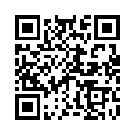 B41691A7687Q7 QRCode