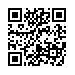 B41691A8687Q7 QRCode