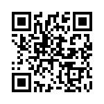 B484307 QRCode
