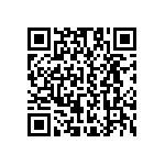 B57431V2472K062 QRCode