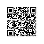 B57620C5102K062 QRCode