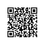 B57620C5103K062 QRCode