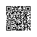 B64290L0696X065 QRCode