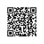 B64290P0036X038 QRCode