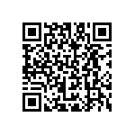 B65531D0000R033 QRCode