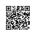 B65531D0040A033 QRCode