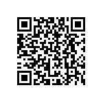 B65541T0040A033 QRCode