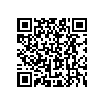 B65651T0100A033 QRCode