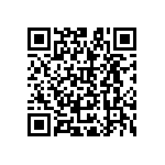 B65713A0000R027 QRCode