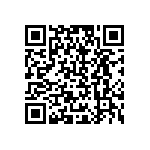 B65811J0040A041 QRCode