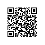 B65843A0250J041 QRCode