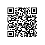 B65887E0250A087 QRCode