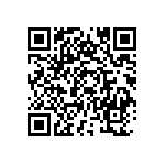 B66317G0000X130 QRCode