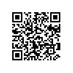 B66317G0250X127 QRCode