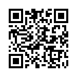 B82141B1333K9 QRCode