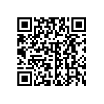 B82473A1333K000 QRCode