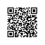 B88069X3831B502 QRCode