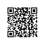 B88069X8690B502 QRCode