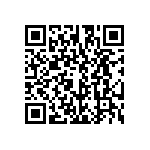 BCR133E6393HTSA1 QRCode