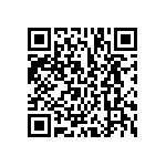 BCS-137-L-D-HE-041 QRCode
