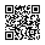 BDST30 QRCode