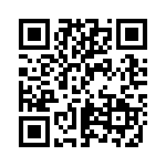 BDST4 QRCode