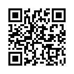 BDW46 QRCode