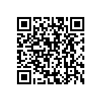 BF016010BE94013BF1 QRCode