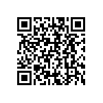 BF016010BE95013BH1 QRCode