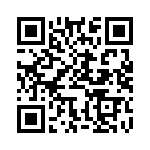 BFC230343684 QRCode