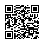 BFC233613333 QRCode