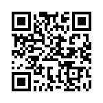 BFC233629021 QRCode