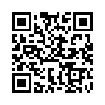 BFC233629022 QRCode