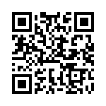 BFC233629066 QRCode