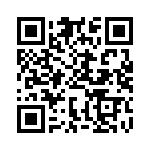 BFC233823333 QRCode