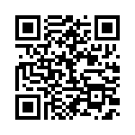 BFC233824333 QRCode