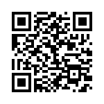 BFC233843334 QRCode