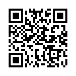 BFC233848002 QRCode