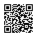 BFC233863333 QRCode