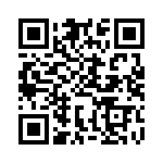 BFC233865333 QRCode