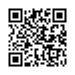 BFC233865393 QRCode