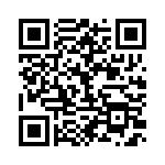 BFC233867333 QRCode