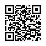 BFC233868133 QRCode