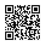 BFC233868403 QRCode