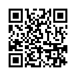 BFC233917333 QRCode