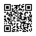 BFC233924153 QRCode