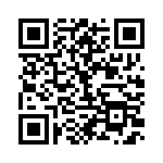 BFC233990013 QRCode