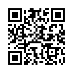 BFC236653333 QRCode