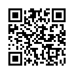 BFC236843333 QRCode