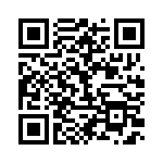 BFC236863333 QRCode